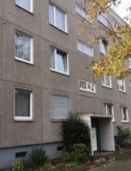 Lust auf Veränderung: individuelle 3-Zimmer-Wohnung - Kassel