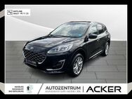 Ford Kuga, 2.5 Duratec Vignale iACC, Jahr 2023 - Marburg