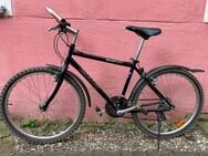 Verkaufe Giant Fahrrad mit 21 Gänge.. - Berlin Neukölln