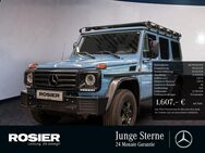 Mercedes G 350, d Professional Limited Edition, Jahr 2018 - Braunschweig