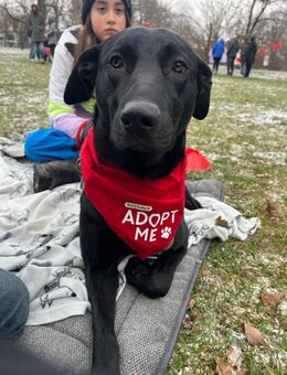 Benni – ein kleiner Herzensbrecher mit großer Persönlichkeit - Gräfelfing