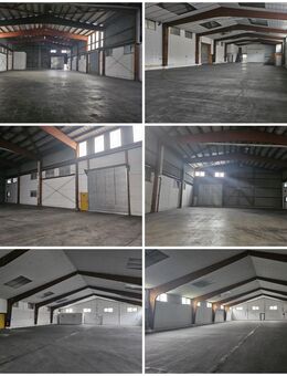 Großzügige Lagerhallen Lagerfläche Büro WC uvm. 97944 - Boxberg (Baden-Württemberg)