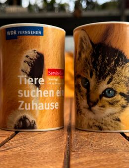 2 Tiere suchen ein Zuhause WDR-Tassen makellos - Bad Honnef