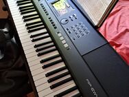 Yamaha Keyboard, PSR-EW425 - Böllenborn