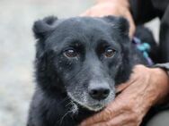 Wally - sehr liebenswert u. angenehm - Lohra