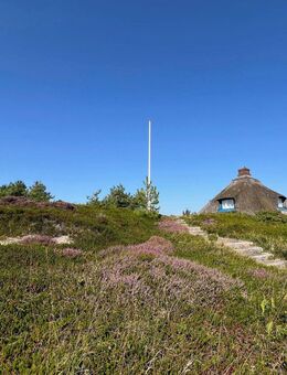 Reetdachhaus mit Weitblick bis zum Leuchtturm - Hörnum (Sylt)