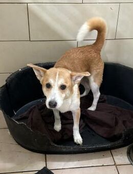 INTI - gemeinsame Beschäftigung lieb ich - Overath