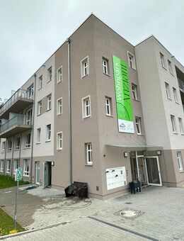 Alters WG im Vogtlandkreis mit Pflegeoption! - Auerbach (Vogtland)