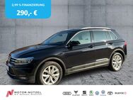 VW Tiguan, 1.5 TSI HIGHLINE, Jahr 2020 - Bayreuth