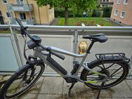 Haibike trekking 6 - Lünen