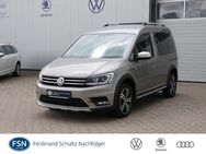 VW Caddy, 2.0 TDI Kombi Alltrack GR, Jahr 2019 - Rostock