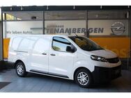 Opel Vivaro Kasten Edition L Klima Bluetooth DAB PDC - Mettingen