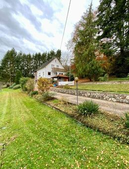 EFH mit Garagen und großem Grundstück (ca. 4.500 m²) in einer einmaligen und sehr ruhigen Alleinlage / Ortsrandlage am Ortsausgang von einem wundersch - Bad Münstereifel