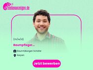 Baumpfleger (m/w/d) - Kerpen (Kolpingstadt)