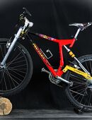 Kräftiges Fuly - MTB, PRO FLEX, B25/239 in 5000