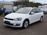 VW Golf Variant, 1.4 TSI Golf VII Cup, Jahr 2015 - Verden (Aller)