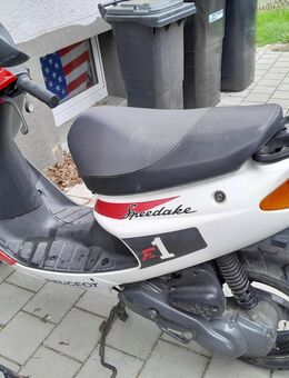 Peugeot Speedake 50er Roller Bj 1994 also über 30 Jahre alt (Oldimer) Nicht Fahrbreit bitte Lesen - Ravensburg