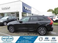 Volvo XC60 Plus Dark 2WD B4 Diesel EU6d ACC DAB El. Heckklappe SHZ - Kassel