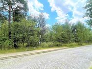 10.295 m² großes Grundstück in Roßlau bietet Ihnen viele Möglichkeiten! - Dessau-Roßlau Mühlstedt