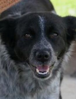 wunderschöne, schüchterne Tarja - Kallmünz