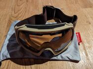 Neue Bolle Ski und Snowboard Brille - Giengen (Brenz)