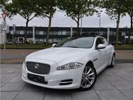 Jaguar XJL 3.0 kompressor awd 340 ps - Wesel