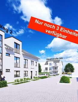 Seniorengerechte und barrierefreie ETW im 1. OG mit Balkon in zentraler Lage von Würselen! - Würselen