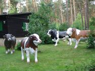 🐂 Lebensgroßer 3D-Bulle – Alm Collection Ein alpiner Blickfang für Hof, Alm, Tourismus & Event - Heidesee