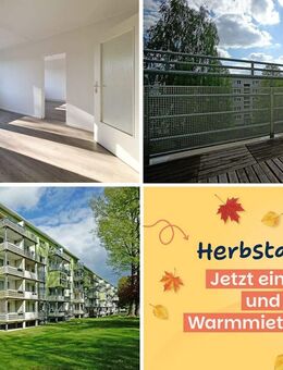 Einziehen & 2 Warmmieten sparen*: renovierte 2 Zimmerwohnung mit großzügigem Balkon - Freiberg