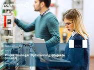 Projektmanager Optimierungsprojekte (m/w/d) - Hamburg
