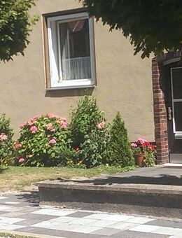 *schöne 3 Zimmer Wohnung - Hildesheim
