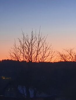 Suche eine Frau auf Augenhöhe für immer! - Goslar
