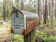 Ihr neuer Briefkasten!? Traumhaft grünes Wald-Baugrundstück - Natur pur! - Winsen (Aller)