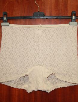 Damen Slip Schlüpfer Pagenslip Bleyle D 48 Lagerware ohne OVP neu - Borken