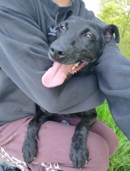 Hana 💗 wundervolle, liebe Zuckerschnute - Hamburg