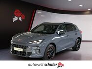 CUPRA Terramar, 2.0 TSI VZ 265PS, Jahr 2024 - Zimmern (Rottweil)