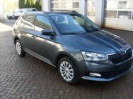 Skoda Fabia Combi - Waldheim