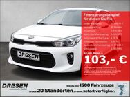 Kia Rio, Dream Team, Jahr 2019 - Bonn