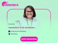 Teamleiter/-in (m/w/d) für den Bereich Asyl im Sozialamt - Ebersberg
