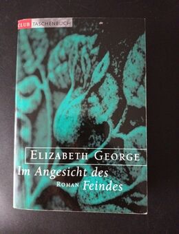 Im Angesicht des Feindes von Elizabeth George (Taschenbuch) - Essen