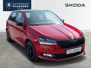 Skoda Fabia, 1.0 TSI Monte Carlo, Jahr 2019 - Amelinghausen