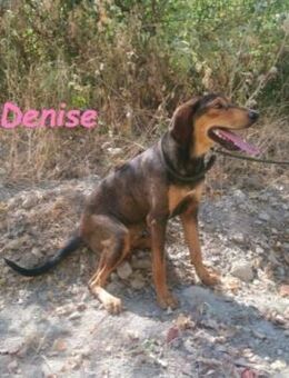 Denise-ruhig,sanft, ausgeglichen 6/22 GR - Ruppertsecken