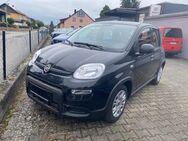 Fiat Panda, 1.0 i Hybrid GSE, Jahr 2024 - Teublitz