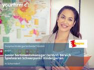 Junior Sortimentsmanager (w/m/d) Bereich Spielwaren Schwerpunkt Kindergarten - Schorndorf (Baden-Württemberg)