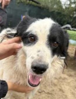 Charismatischer Elton sucht seine Famili - München