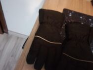 Motorrad Handschuhe - Butjadingen