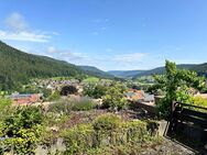 Eigentumswohnung mit herrlichem Panoramablick - Baiersbronn