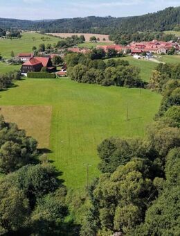 Aufwendig saniertes Mühlenanwesen mit traumhaftem Grundstück nahe der bayrischen Landesgrenze - Schleusingen