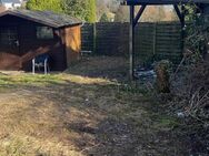 Gartenarbeiten/Malerarbeiten/Entrümpelung - Detmold