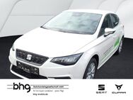 Seat Ibiza, 1.0 MPI Style Ibiza Style, Jahr 2021 - Freiburg (Breisgau)